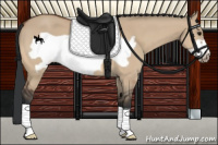 Horse Color:Bay Dun Frame