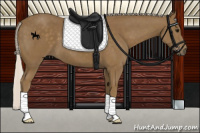 Horse Color:Silver Smoky Black