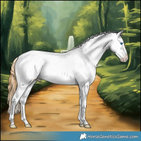 Horse Color:Buckskin Dun Splash Appaloosa Rabicano 
