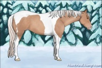 Horse Color:Silver Classic Champagne Tobiano 