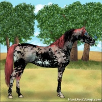 Horse Color:Void Watercolor Liver Red Dun Splash Tobiano 