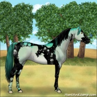 Horse Color:Void Watercolor Liver Red Dun Splash Tobiano 