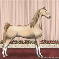 Horse Color:Gold Champagne Splash 