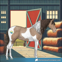Horse Color:Classic Champagne Tobiano Rabicano 