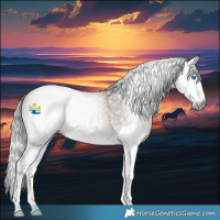 Horse Color:Gray Bay Splash Rabicano 