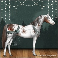 Horse Color:White Spotted Liver Chestnut 