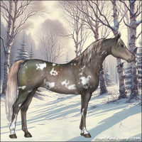 Horse Color:Platinum White Spotted Liver Chestnut 
