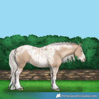 Horse Color:Chocolate Palomino Pearl Tobiano Frame  and Chocolate Palomino Pearl Splash Tobiano Frame 