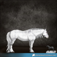 Horse Color:Plaid  White Spotted Silver Brown Chinchilla Ice Onyx 