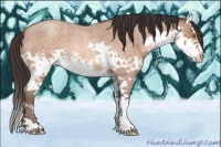 Horse Color:Sable Champagne Roan Splash 