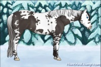 Horse Color:Smoky Black Splash Tobiano 
