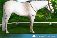 Horse Color:Gray Amber Champagne 