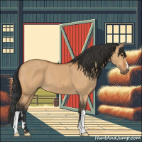 Horse Color:Bay Dun 