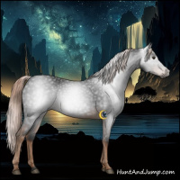 Horse Color:Gray Liver Chestnut 