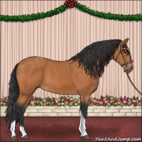 Horse Color:Bay Tobiano 
