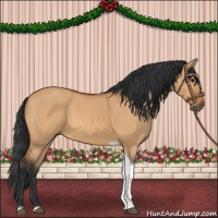 Horse Color:Bay Dun Tobiano 