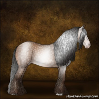 Horse Color:Gray Sable Champagne 