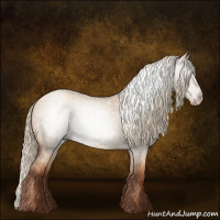 Horse Color:Gray Gold Champagne Roan Dun 