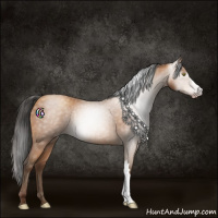 Horse Color:Gray Sable Champagne 