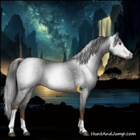 Horse Color:Gray Liver Chestnut Tobiano 