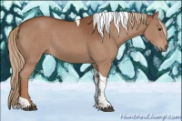 Horse Color:Chestnut Tobiano 