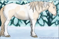 Horse Color:Perlino Tobiano Rabicano 