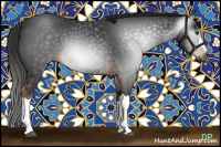 Horse Color:Gray Liver Chestnut 