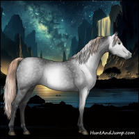 Horse Color:Gray Chocolate Palomino 
