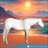 Horse Color:Gray Gold Champagne 