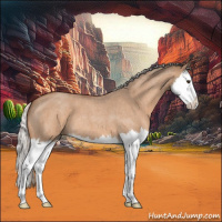 Horse Color:Silver Brown Roan Dun Splash