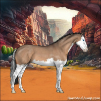 Horse Color:Brown Roan Dun Splash 