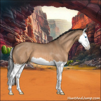 Horse Color:Bay Roan Dun Splash