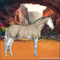 Horse Color:Silver Smoky Blue Ice Roan Splash