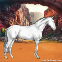 Horse Color:Bay Splash 