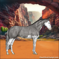Horse Color:Smoky Blue Ice Roan Splash 