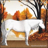 Horse Color:Gray Sable Champagne