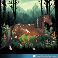 Horse Color:White Spotted Brown 