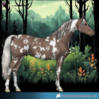 Horse Color:White Spotted Silver Black 