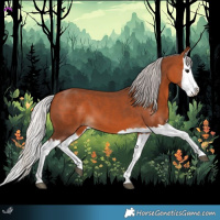 Horse Color:Silver Bay Splash 
