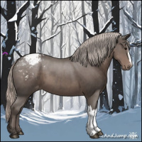 Horse Color:Silver Black Snowcap