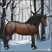 Horse Color:Brown Appaloosa 