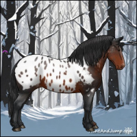 Horse Color:Brown Near Leopard 