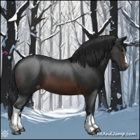 Horse Color:Brown Appaloosa