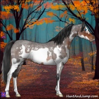 Horse Color:Brown Roan Splash Frame Rabicano 