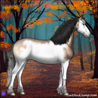 Horse Color:Bay Roan Onyx Splash Frame Rabicano 