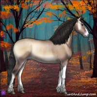 Horse Color:Bay Onyx Rabicano 