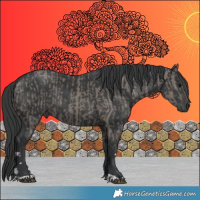 Horse Color:Grullo  and Black 