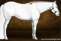 Horse Color:Cremello Roan Blanket 