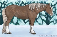 Horse Color:Silver Black Splash 