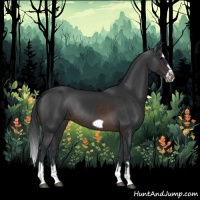 Horse Color:Brown Splash Frame Rabicano